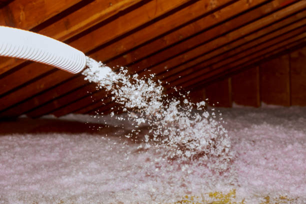 Best Types of Insulation in Mount Olive, AL