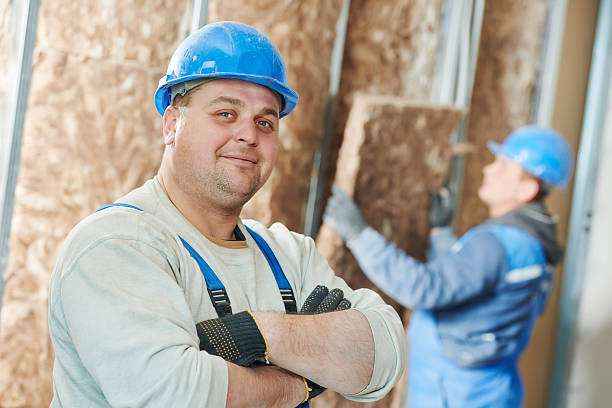 Best Residential Insulation in Mount Olive, AL